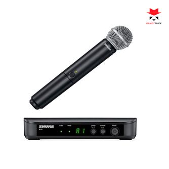 Shure BLX24RE SM58 M17